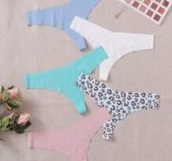 5pack No Show Panty Set