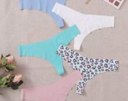 5pack No Show Panty Set