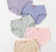5pack Simple Lace Trim Panty