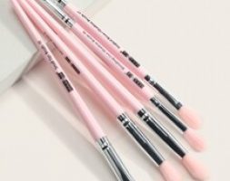 5pcs Fan Shaped Eye Makeup Brush Set
