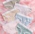 6pack Lace Trim Panty Set