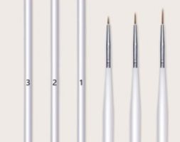 6pcs Nail Art Drawing Pen Set