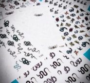 6sheets Snake Pattern Nail Art Sticker