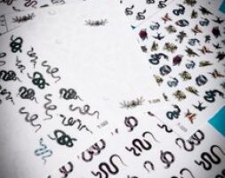 6sheets Snake Pattern Nail Art Sticker