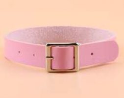 Buckle Design Choker