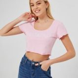 Butterfly Embroidery Crop Tee