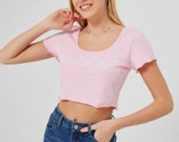 Butterfly Embroidery Crop Tee