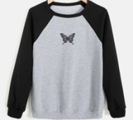 Butterfly Graphic Colorblock Sweatshirt