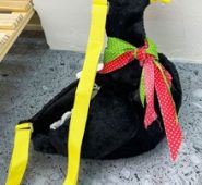 Cartoon Goose Crossbody Bag