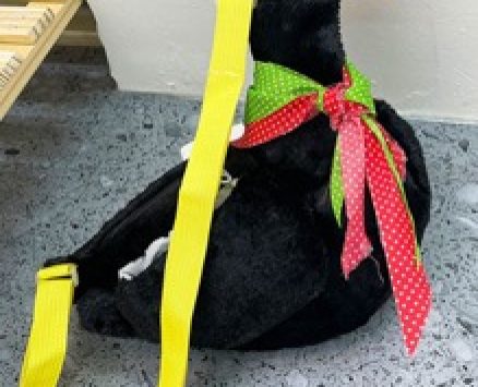 Cartoon Goose Crossbody Bag