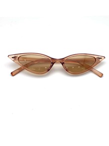 Cat Eye Clear Frame Sunglasses