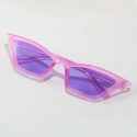 Cat Eye Tinted Lens Sunglasses