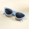 Cat Eye Tinted Lens Sunglasses