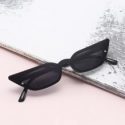 Cat Eye Tinted Lens Sunglasses