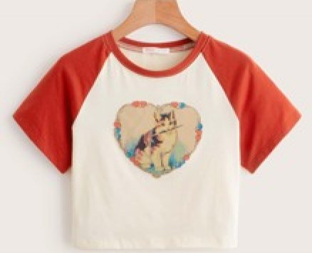 Cat Graphic Colorblock Baseball Tee