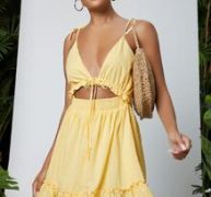 Clip Dot Cutout Plunging Self-Tie Cami Mini Dress