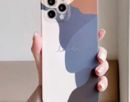 Colorblock Phone Case