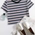 Contrast Neck Striped Top