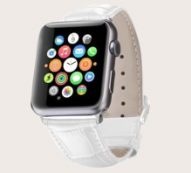 Crocodile Pattern Apple Watchband
