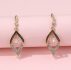 Crystal Drop Earrings