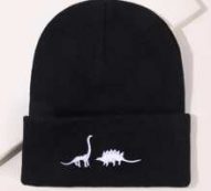 Dinosaur Embroidered Beanie