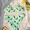 Dinosaur Print Bikini Swimsuit