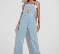 Dinosaur Print Kangaroo Pocket Denim Overalls