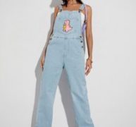 Dinosaur Print Kangaroo Pocket Denim Overalls