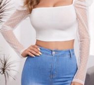Dobby Mesh Leg-of-mutton Sleeve Crop Top