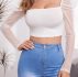 Dobby Mesh Leg-of-mutton Sleeve Crop Top