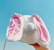 Ear Decor Fluffy Crossbody Bag