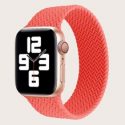 Elastic Silicone Apple Watchband