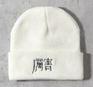 Embroidered Chinese Character Beanie