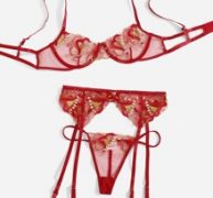 Embroidery Mesh Underwire Garter Lingerie Set