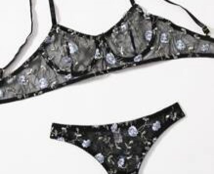 Floral Embroidered Mesh Lingerie Set