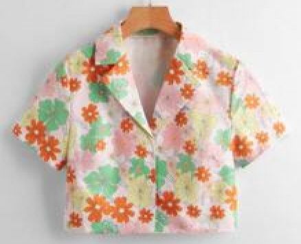 Floral Print Crop Blouse