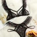 Floral Ruffle Trim Mesh Lingerie Set