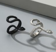 Guys 2pcs Snake Design Ring