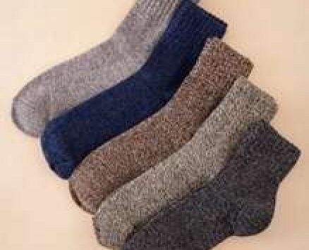 Guys 5pairs Solid Crew Socks
