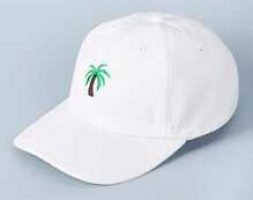 Guys Coconut Tree Embroidery Baseball Cap