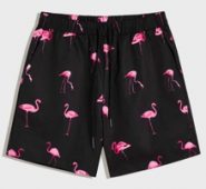 Guys Drawstring Waist Flamingo Print Shorts