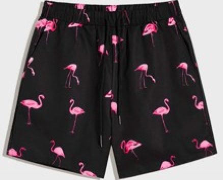 Guys Drawstring Waist Flamingo Print Shorts
