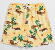 Guys Flamingo And Palm Tree Print Shorts