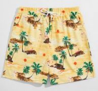 Guys Flamingo And Palm Tree Print Shorts