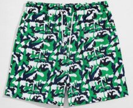 Guys Graphic Drawstring Shorts