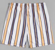 Guys Striped Drawstring Shorts