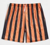 Guys Striped Drawstring Shorts