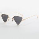 Guys Triangle Frame Sunglasses