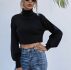 High Neck Crop Sweater