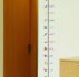 Kids Height Chart Wall Sticker